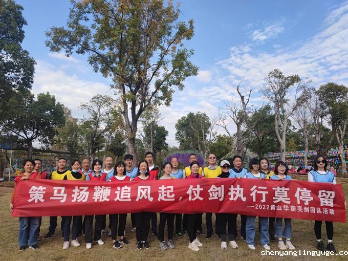 //www.shenyanglingyuge.com/hsdt/207.html