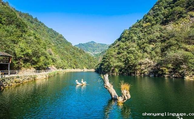 //www.shenyanglingyuge.com/hsdt/214.html