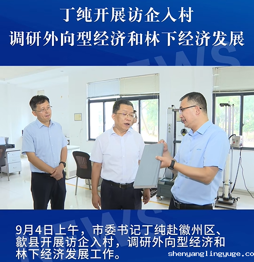 //www.shenyanglingyuge.com/hsdt/241.html