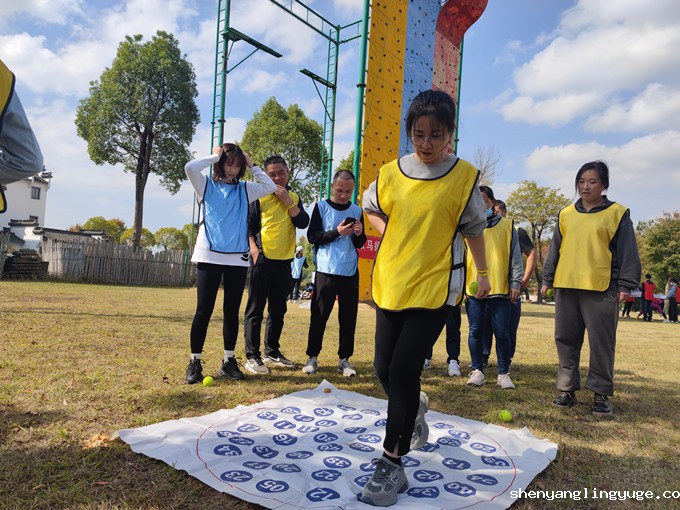 1667271781913106.jpg 6.jpg