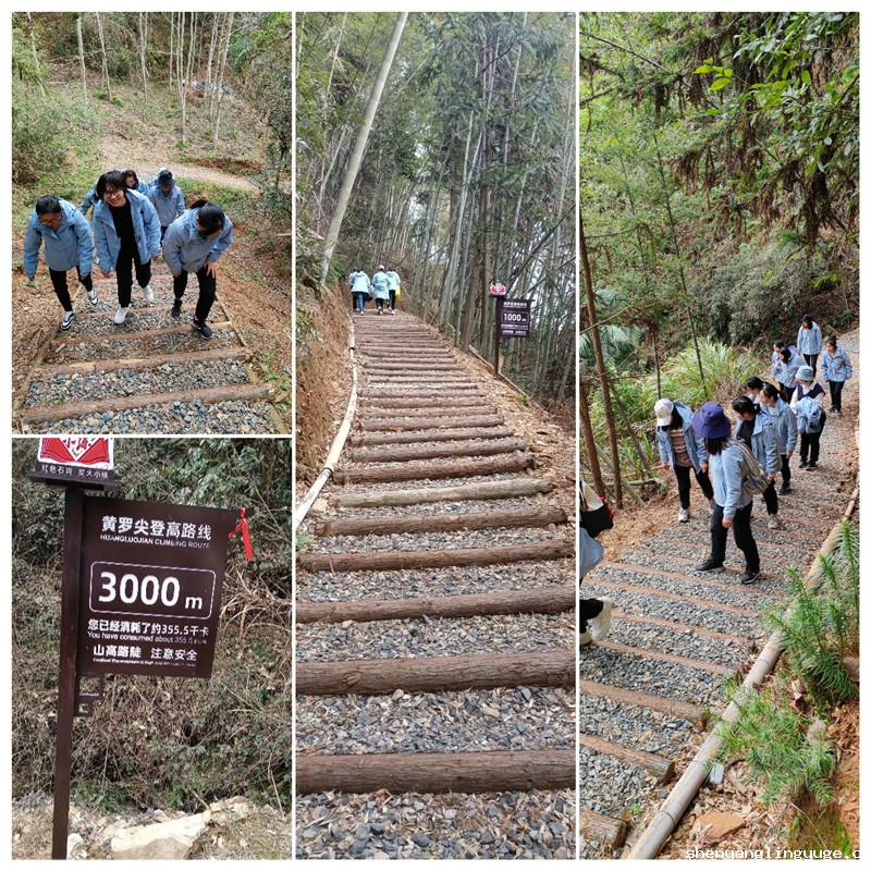 1678331748691495.jpg 登山_副本.jpg